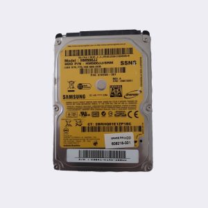 SAMSUNG HM500JJ 500GB